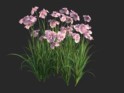 Vibrant Pink Blooming Flowers With Lush Green Grass In Natural Garden Scene 3d model