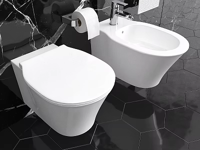 Modern Wall Mounted Toilet with Bidet and Toilet Paper Holder in Bathroom Hexagon Tiles 3d model