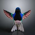 Vibrant Hummingbird With Spread Wings And Colorful Blue Green Pink Feathers