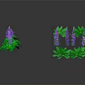 Purple Flowers With Green Leaves On Two Plant Clusters In Gray Background With Reflections