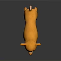Yellow Chihuahua Dog Standing On Black Shiny Surface With Gray Background