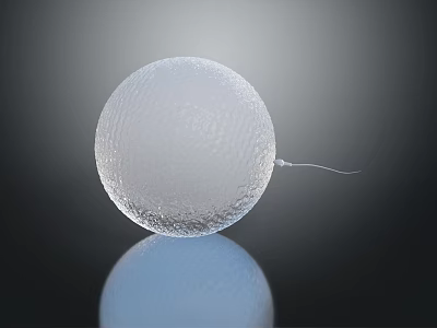 Microscopic Organ Structure With Hair-like Appendage And Textured Transparent Surface 3d model