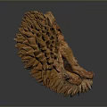 Ripe Brown Durian Fruit With Spiky Exterior And Fresh Tropical Appeal