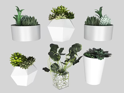 Decorative Potted Plants in White Geometric Glass Containers with Succulents and Leafy Green 3d model