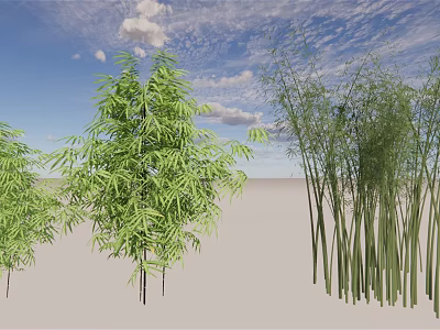 Tall Green Bamboo Plants Growing On Ground Under Blue Sky With White Clouds 3d model