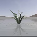 Green Plant with White Flowers Long Leaves Growing in Water Ripples Distant Mountains Lilac Sky