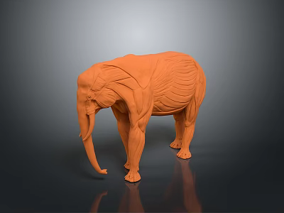 Orange Home Decor Furniture Elephant Model With Detailed Muscle Structure Design 3d model