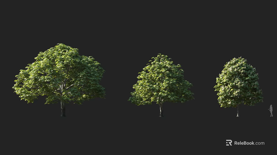 Lush Green Arbor Trees With Dense Foliage And Healthy Growth In Black Background 3d model 