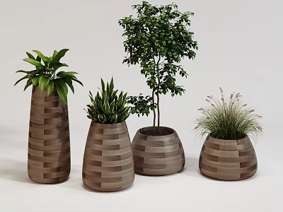 Modern Bonsai Potted Plants Arrangement With Natural Wood Planters And Various Green Foliage 3d model