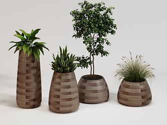 Modern potted indoor plant bonsai combination 3d model