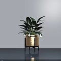 Bonsai Potted Plant with Green Leaves and White Flowers in Golden Pot on Black Stand