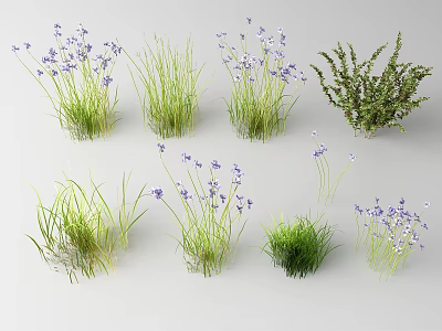 Vibrant Garden Flowers With Purple Blooms Green Grass And Bushes 3d model