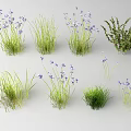 Vibrant Garden Flowers With Purple Blooms Green Grass And Bushes