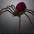 Colorful Spider with Red Body Green and Red Gradient Legs and Purple Mouthparts