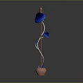 Decorative Indoor Plant With Blue Leaves And Brown Curved Stem In Terracotta Pot