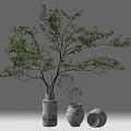 White Textured Vases Holding Green Leafy Branches And Decorative Terracotta Pot For Modern Home Decor