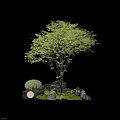 Tall Lush Tree With Small Shrubs Rocks Lantern And Green Grass Landscape