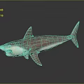 Realistic Detailed Brown Shark Model Displayed On Black Background With Reflection 3d model