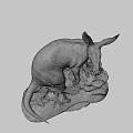 Dark Fur Anteater Taxidermy Specimen With Long Snout And Large Ears
