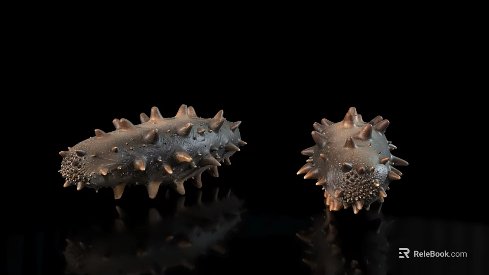 Spiky Brown Sea Cucumbers With Textured Bodies On Black Reflective Surface 3d model 