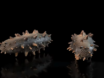 Spiky Brown Sea Cucumbers With Textured Bodies On Black Reflective Surface 3d model