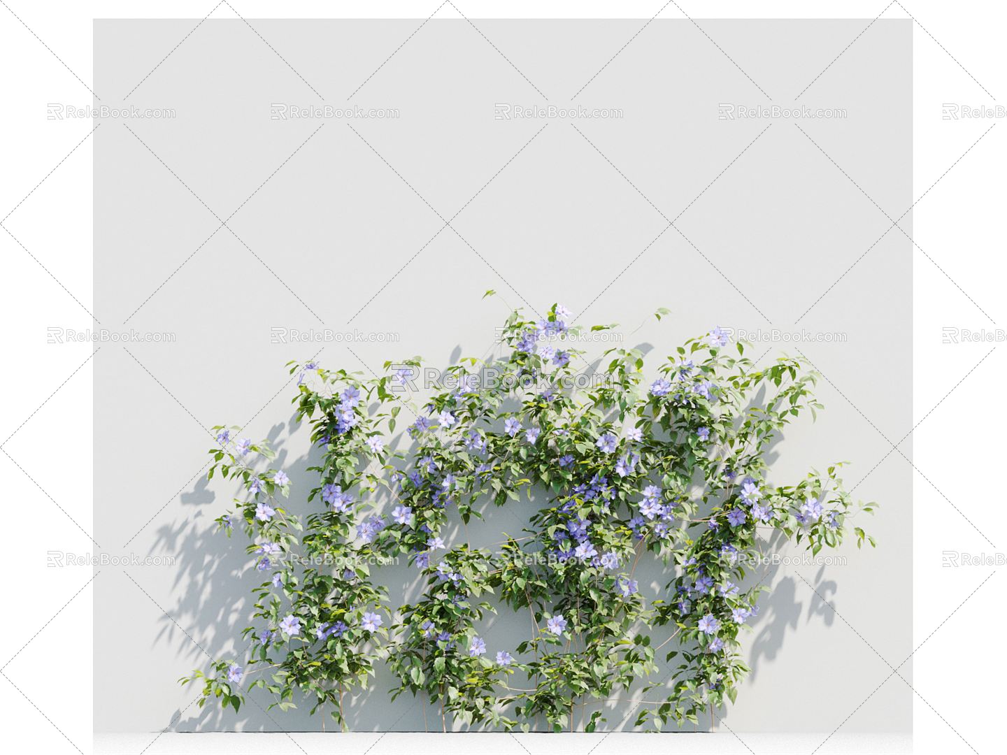 Modern Vine Vine Plant 3d model