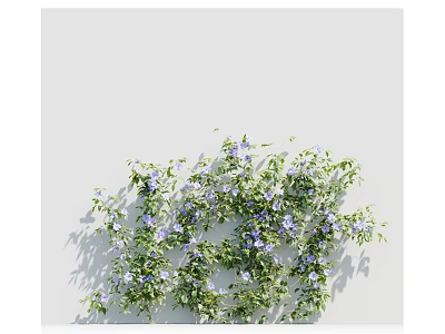Vine Climbing With Green Leaves And Purple Small Flowers Casting Shadows On White Background 3d model