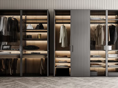 Modern Wardrobe Interior With Hanging Rods Shelves Drawers And LED Lighting 3d model