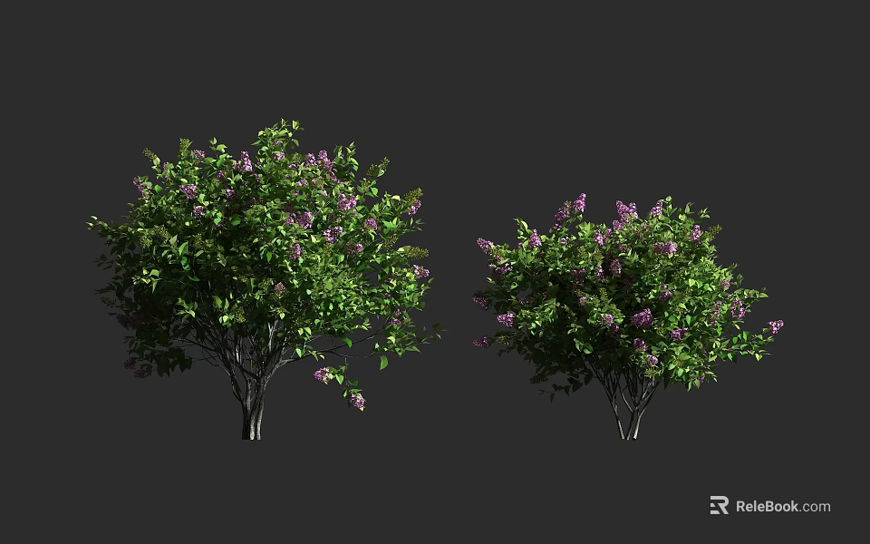 Two Lush Garden Shrubs With Green Leaves And Purple Flowers 3d model 