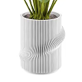 Large Green Leaf Plants in White Decorative Vases for Modern Indoor Decoration