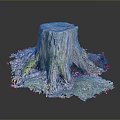 Tree Stump With Textured Bark Spreading Roots And Moss Covered Base 3d model