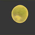 Fresh Ripe Green Apple With Smooth Surface And Natural Healthy Look
