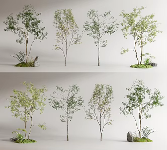 modern tree arbor landscape tree 3d model