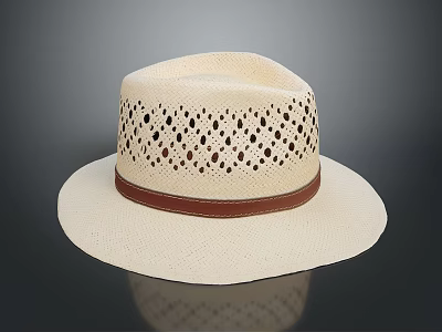 Stylish Straw Hat As Daily Life Essential With Perforated Design And Brown Leather Band 3d model