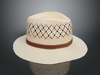 Hat Sunshade Hat Straw Hat Wear Supplies 3d model