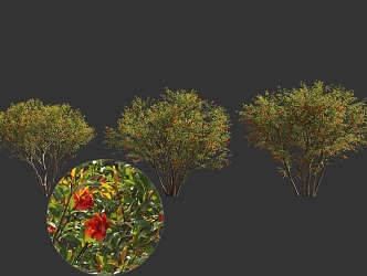 Pomegranate Flower Tree Landscape Sick Chinese Style National Style Ancient Tree Pond Street Tree 3d model