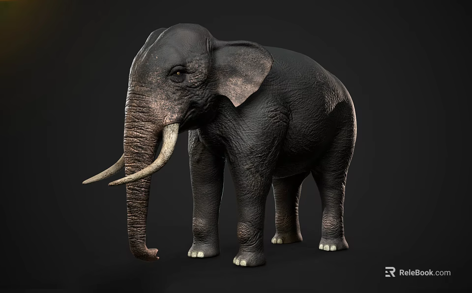 Gray Elephant With Long White Tusks And Wrinkled Skin Standing Isolated 3d model 