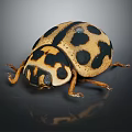 Shiny Spotted Beetle With Black Spots On Yellowish Oval Body And Antennae