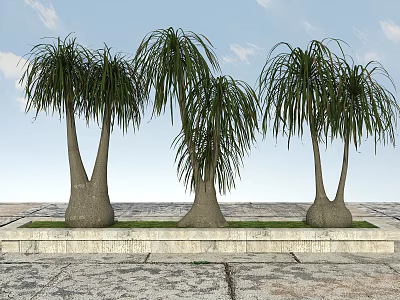 Palm Trees With Thick Trunks And Long Slender Leaves On Stone Platform With Grass 3d model