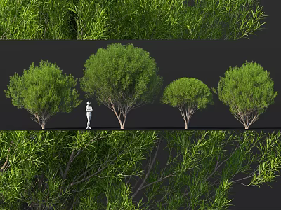 Lush Green Shrubs For Garden Landscaping With Different Sizes And Dense Foliage 3d model