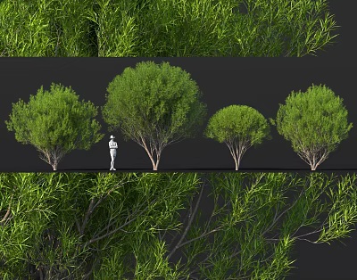 Lush Green Shrubs For Garden Landscaping With Different Sizes And Dense Foliage 3d model
