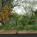 Vibrant Garden Landscape With Wooden Planters Orange Purple Flowers And Lush Green Plants