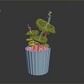Green Potted Plant with Lily Pad Like Leaves in Light Blue Ribbed Pot