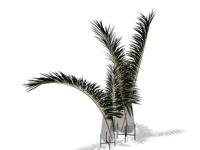Elegant White Vase With Tall Green Palm Leaves For Indoor Decorative Plant 3d model