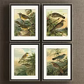 Three Black Framed Bird Paintings With Natural Scenery And Botanical Elements 3d model