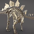 dinosaur fossil dinosaur fossil animal bone 3d model