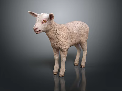 Cute Realistic White Lamb Standing On Dark Background With Reflection 3d model