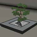 Bonsai Tree in Black Square Tray with White Pebbles and Stone Decor