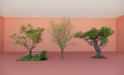 Landscape Tree Plant Group Sapium sebiferum 3d model