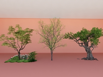 Landscape Tree Plant Group Sapium sebiferum 3d model